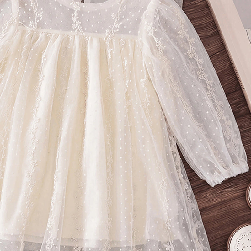 Girls Cream Embroidered Sheer Net Puff Sleeve A-Line Dress Casual Dresses