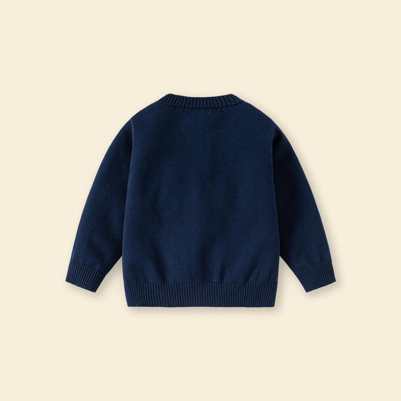 Boys Navy Blue Solid Long Sleeves Cardigan Sweaters & Cardigans