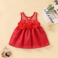 Girls Red Floral Applique Sleeveless Balloon Dress Party Dresses Red 1-2 Y
