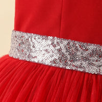 Girls Red Floral Applique Fit & Flare Party Dress Party Dresses