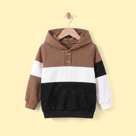 Boys Brown Colour-blocked Hooded Sweatshirt Sweatshirts & Hoodies Brown 3-4 Y