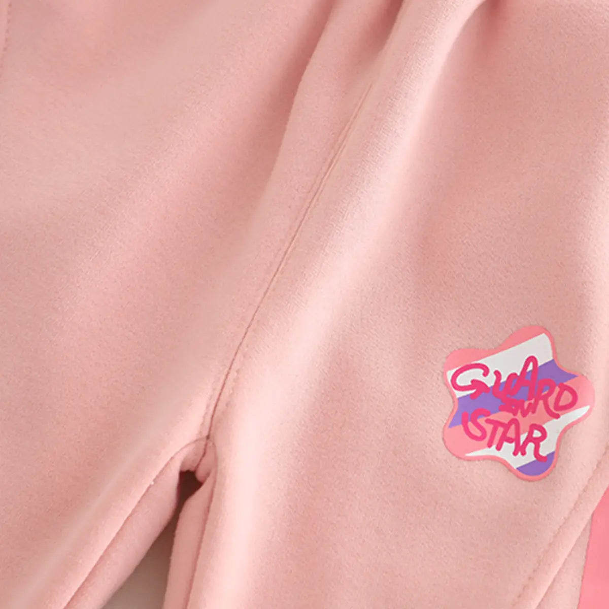 Girls Pink Applique Regular Sweatshirt With Trousers Sets 2 pc. Sets