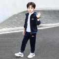 Boys Navy Blue Hooded Zipper Jacket With Jogger Co-ord Sets Sets Navy Blue 5-6 Y
