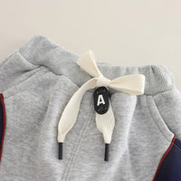 Boys Grey Color-blocked Sweatshirt With jogger Co-ord Sets Sets