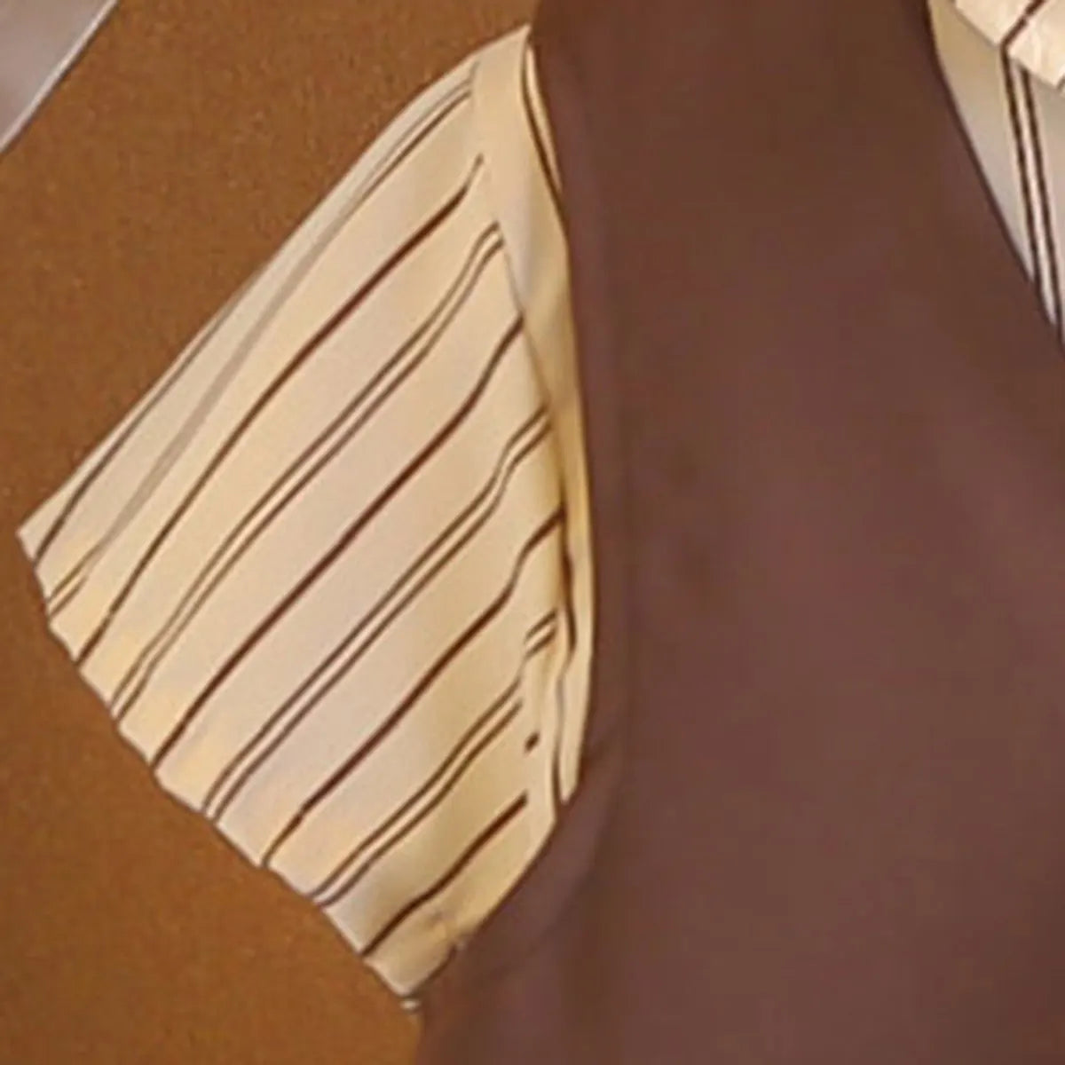 Boys Brown Vest & Shirt With Shorts & Neck Tie Sets Sets
