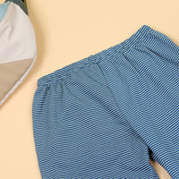 Boys Blue Pinstriped Joggers Trackpants & Joggers