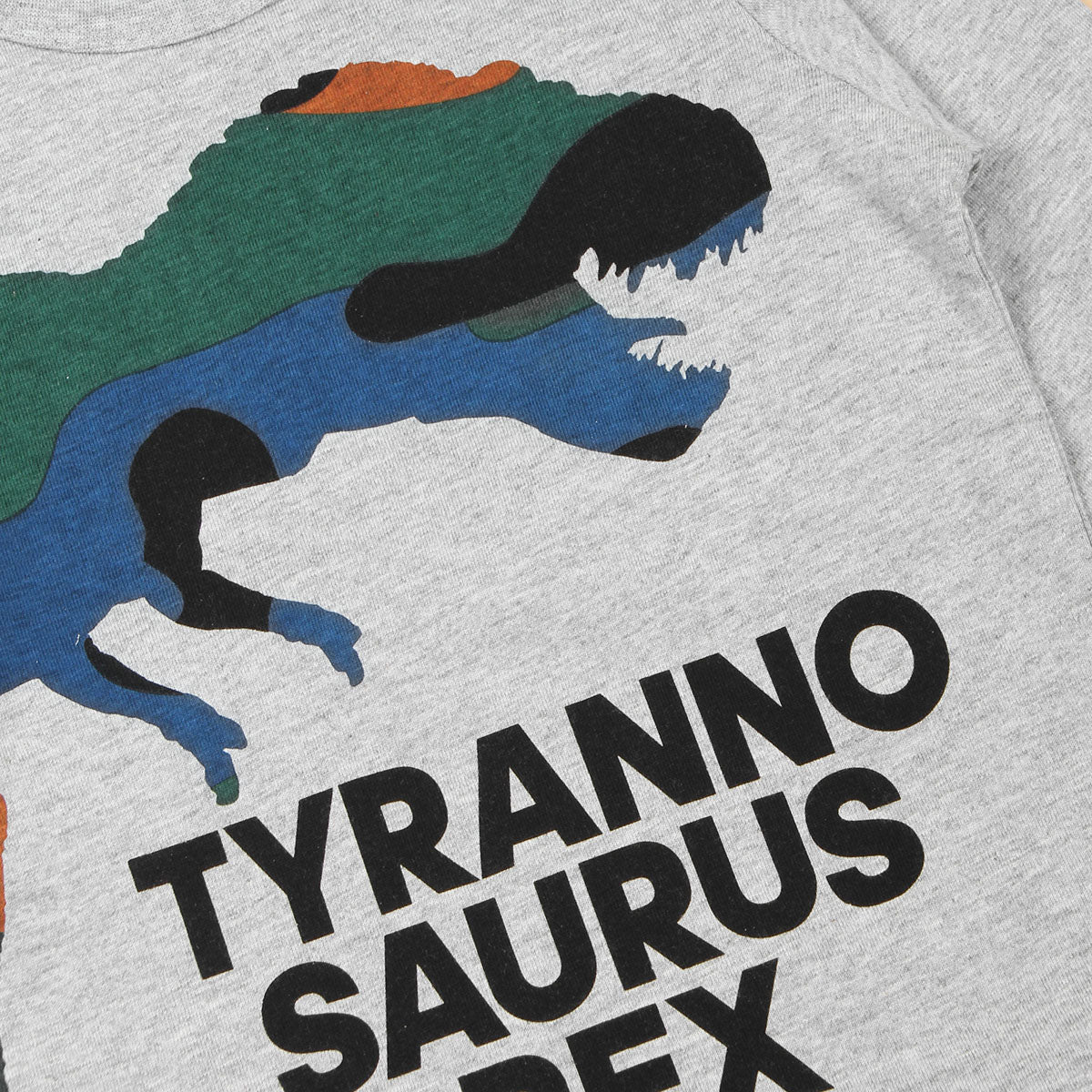 Boys Grey Melange Full Sleeves Dinosaur Print T-shirt T-Shirt