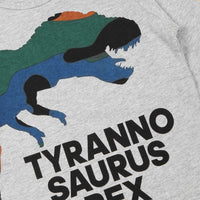 Boys Grey Melange Full Sleeves Dinosaur Print T-shirt T-Shirt