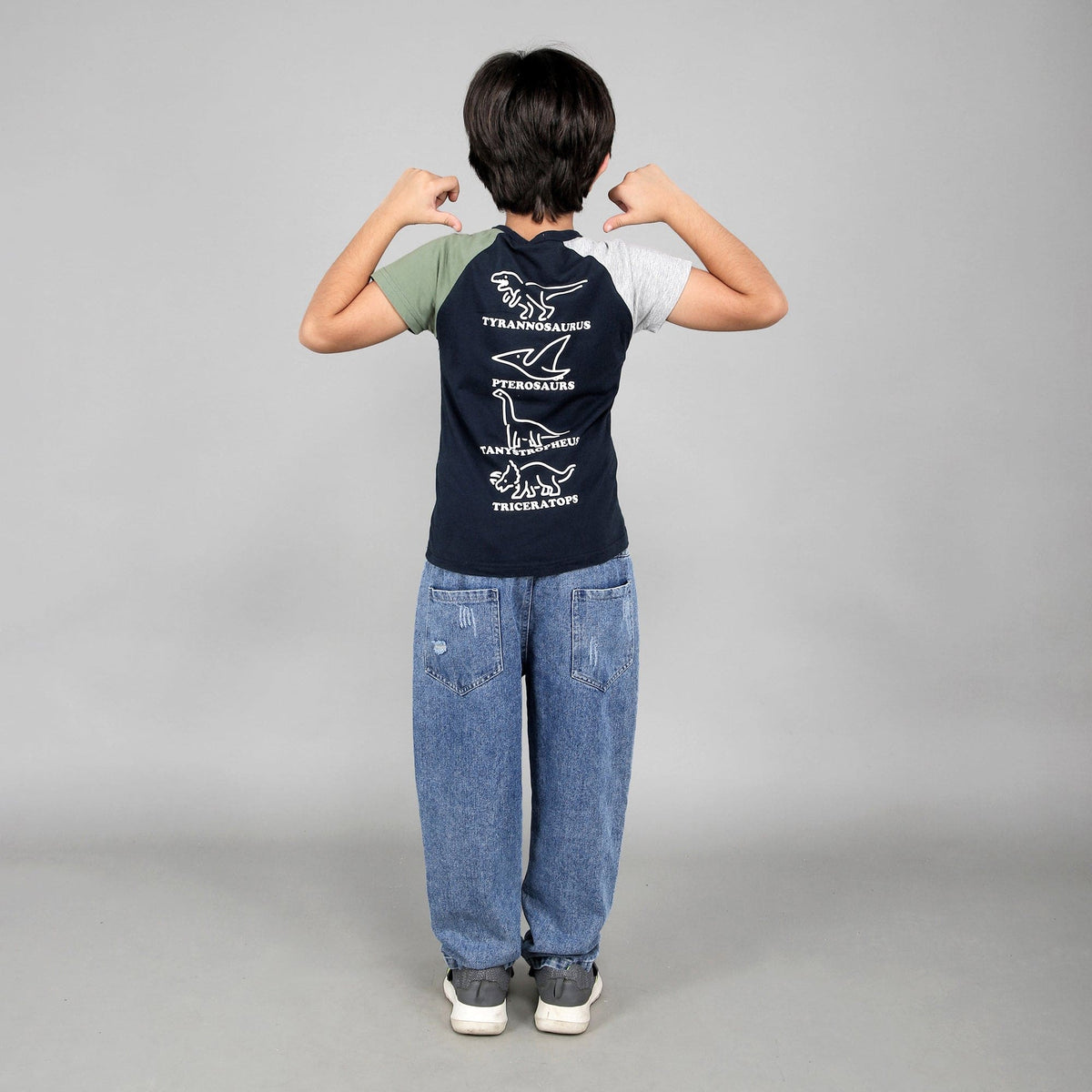 Boys Dinosaur Print Tshirt Tshirts