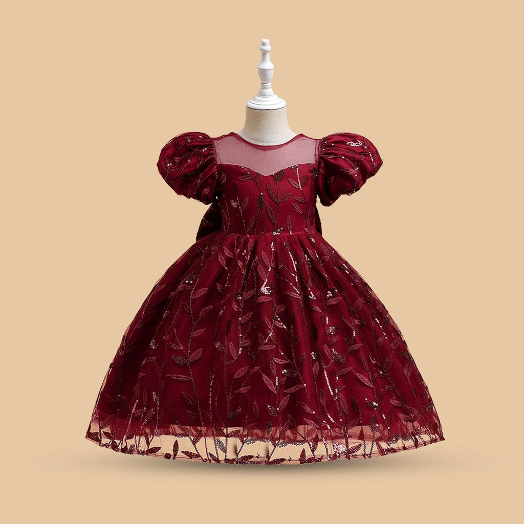 Net Emboridery Dress Casual Dresses Maroon 4-5 Y 