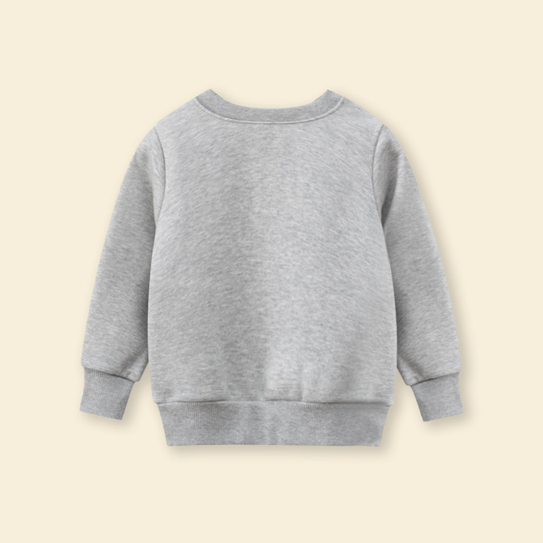 Boys Grey Long Sleeves Sweatshirt Sweatshirts & Hoodies   
