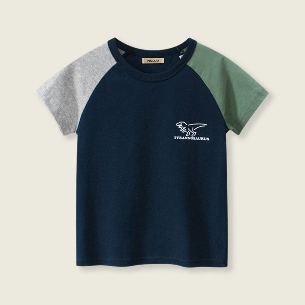 Boys Printed Raglan Sleeve T-shirt Tshirts   