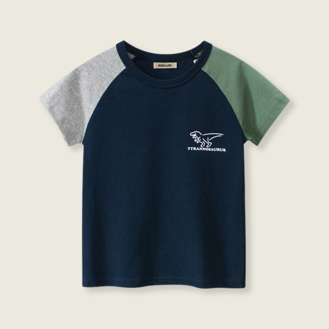 Boys Printed Raglan Sleeve T-shirt Tshirts   