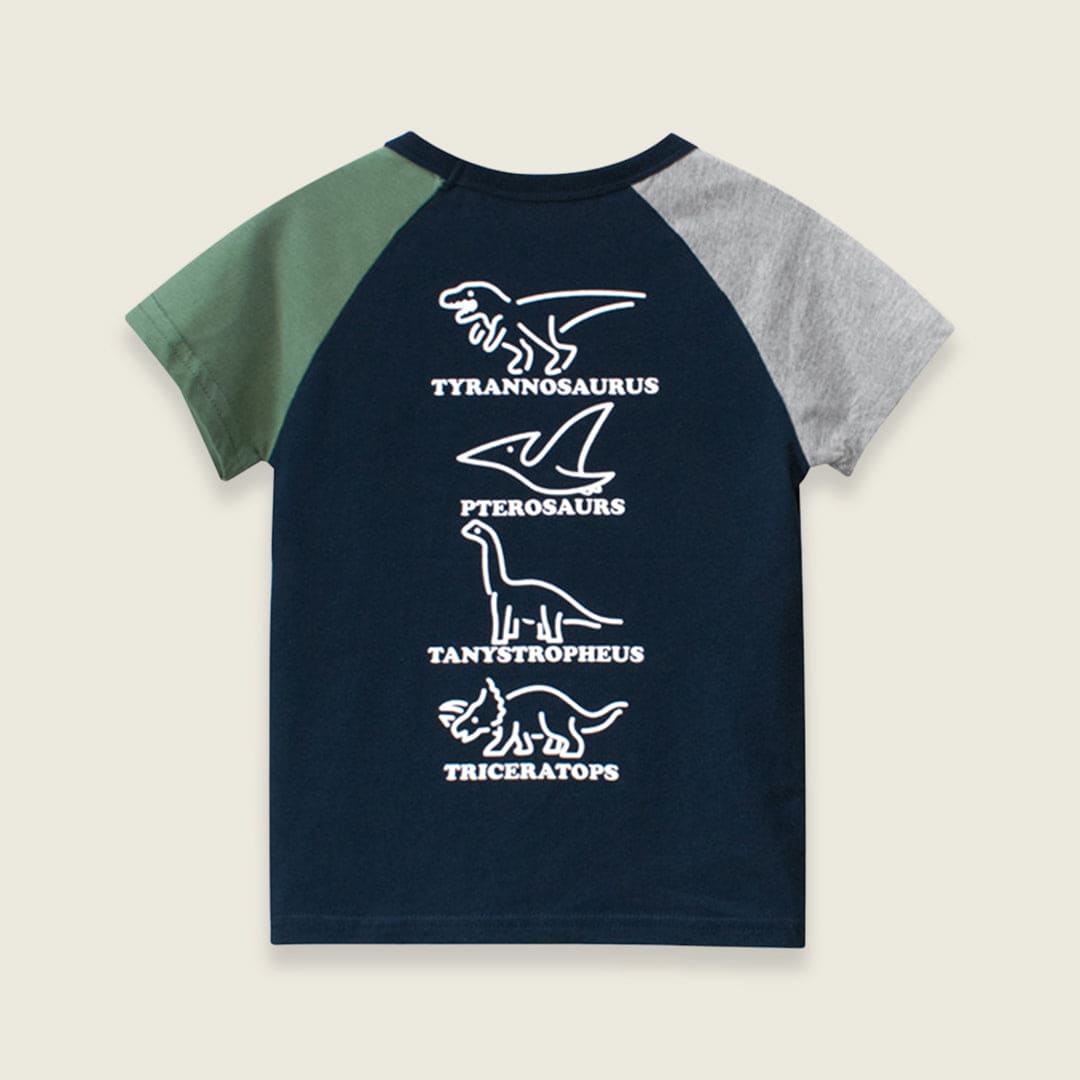 Boys Printed Raglan Sleeve T-shirt Tshirts   