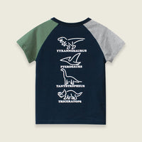 Boys Printed Raglan Sleeve T-shirt Tshirts   