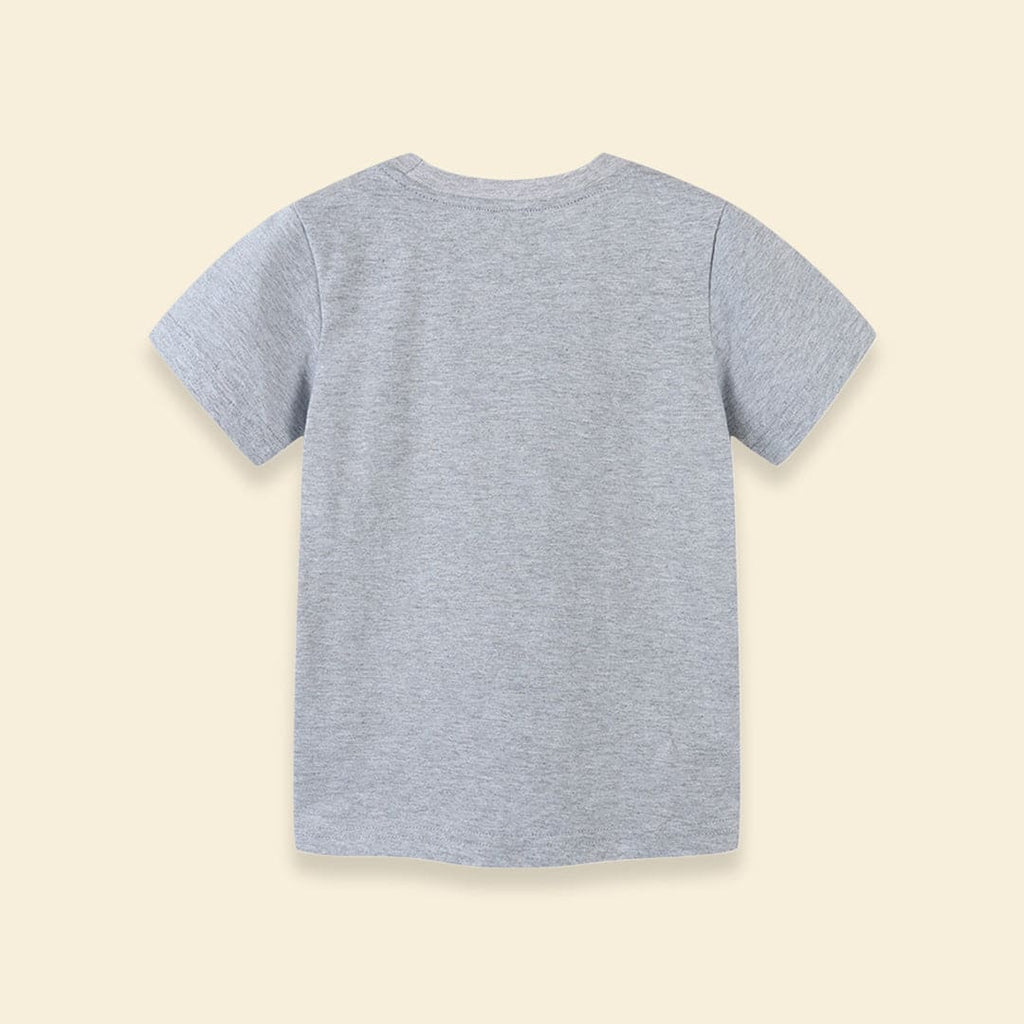 Boys Air Craft Print T-shirt Tshirts   