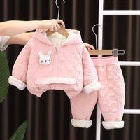 Boys Pink Hooded Jacket with Sweatpants Set Sets Pink 1-2 Y