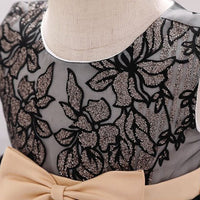 Girls Embroidered Tulle Party Dress Party Dresses   