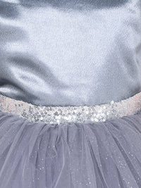 Girls Sateen Tiered Tulle High-Low Hem Party dress Party Dresses   