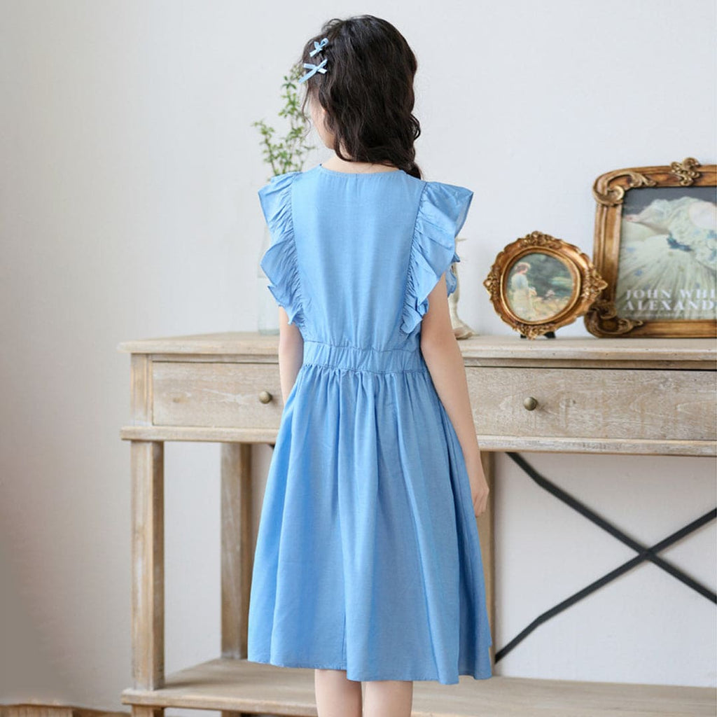 Girls Flared Sleeves Fir & Flare Dress