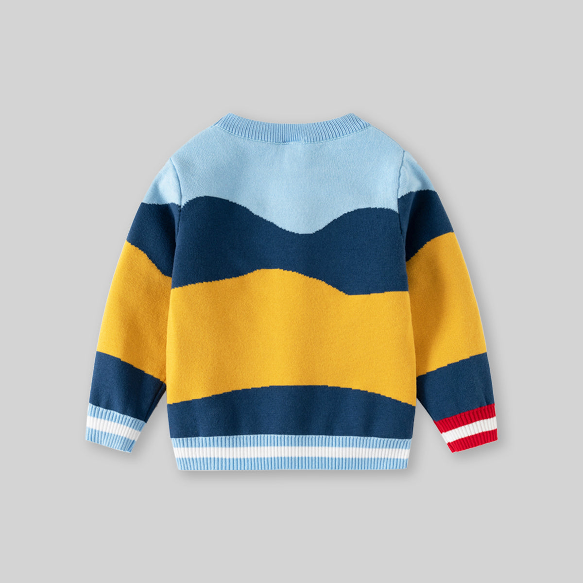 Boys Multicolor Self-Design Regular Sweater Sweaters & Cardigans