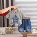 Boys Grey Distress Print Star Applique T-Shirt With Denim Shorts Sets Sets Grey 1-2 Y