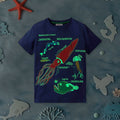 Boys Short Sleeve Graphic Printed T-Shirt Tshirts Blue 1-2 Y 