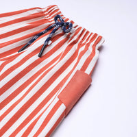 Boys Orange Animal Graphic Short Sleeve T-Shirt With Drawstring Shorts Sets 2 pc. Sets