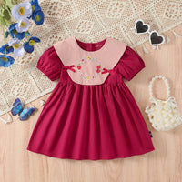 Girls Red Floral Embroidered Short Sleeve Fit & Flare Dress Casual Dresses Red 2-3 Y