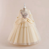 Girls Flower Applique Party Wear Gown