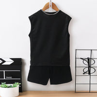 Boys Black Dinosaur Printed Sleeveless T-Shirt With Shorts Set 2 pc. Sets