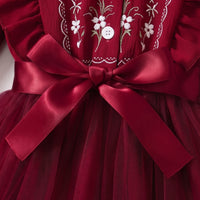 Girls Maroon Floral Print Long Sleeve Fit & Flare Dress Casual Dresses