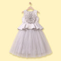 Girls Light Grey Floral Applique Sleeveless Fit & Flare Party Dress Party Dresses Light Grey 2-3 Y