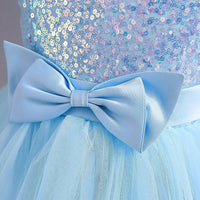 Girls Sky Blue Sequin Embellished Tutu Party Wear Dress Party Dresses