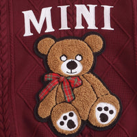 Boys Brown Embroidered Sweatshirt With Pants Sets 2 pc. Sets