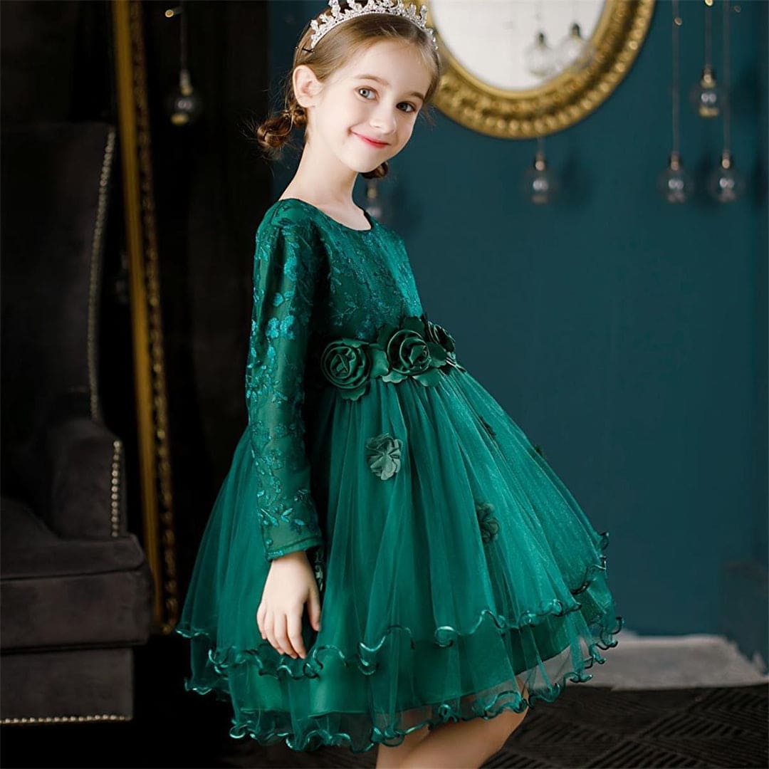 Girls Embroidered Knee Length Tutu Dress Party Dresses   