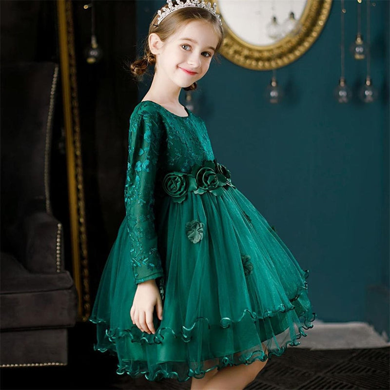 Girls Embroidered Knee Length Tutu Dress Party Dresses   