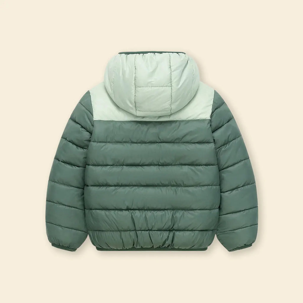 Boys Green Colorblocked Hooded Puffer Jacket Coats & Jackets