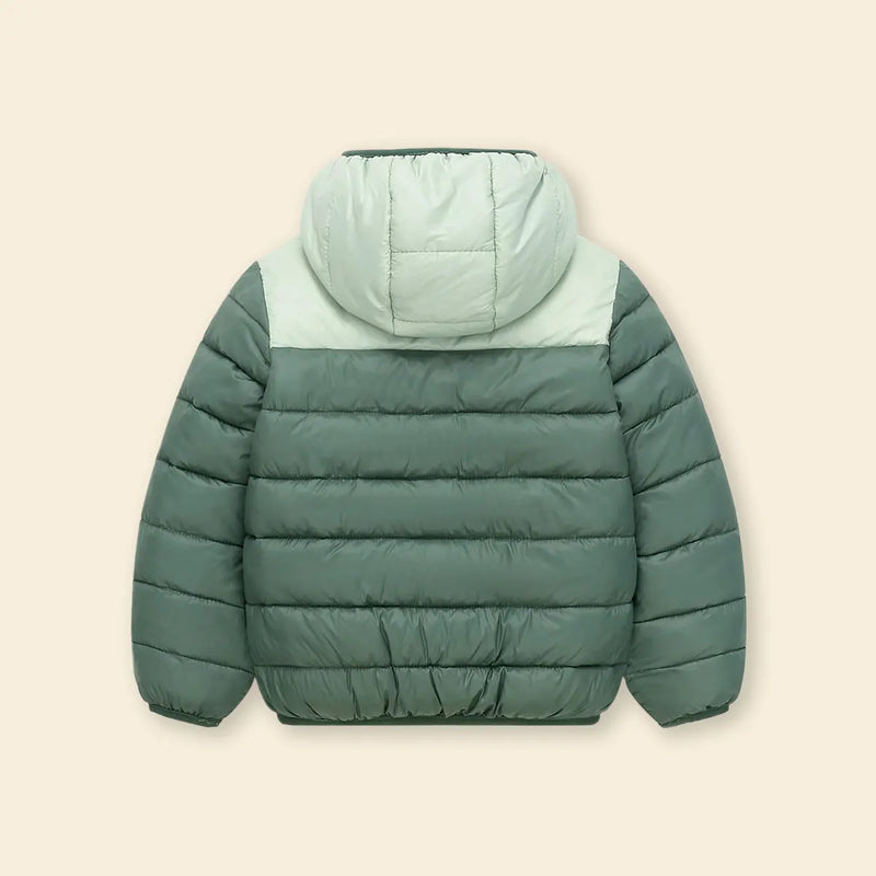 Boys Green Colorblocked Hooded Puffer Jacket Coats & Jackets