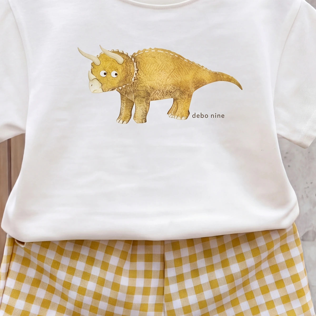 Boys White Short Sleeve Animal Print T-Shirt With Checked Shorts Sets 2 pc. Sets