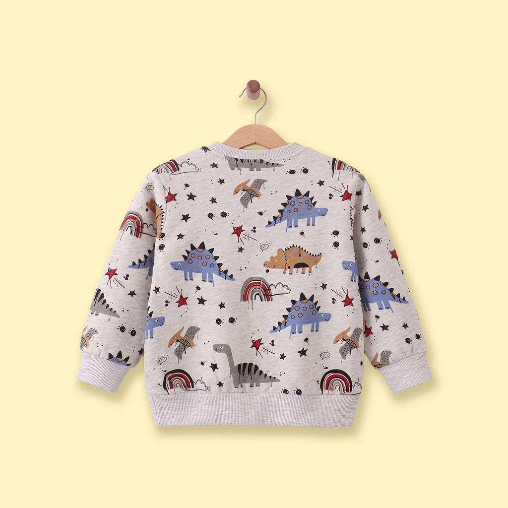 Boys Grey Graphic Round Neck Sweatshirt Sweatshirts & Hoodies