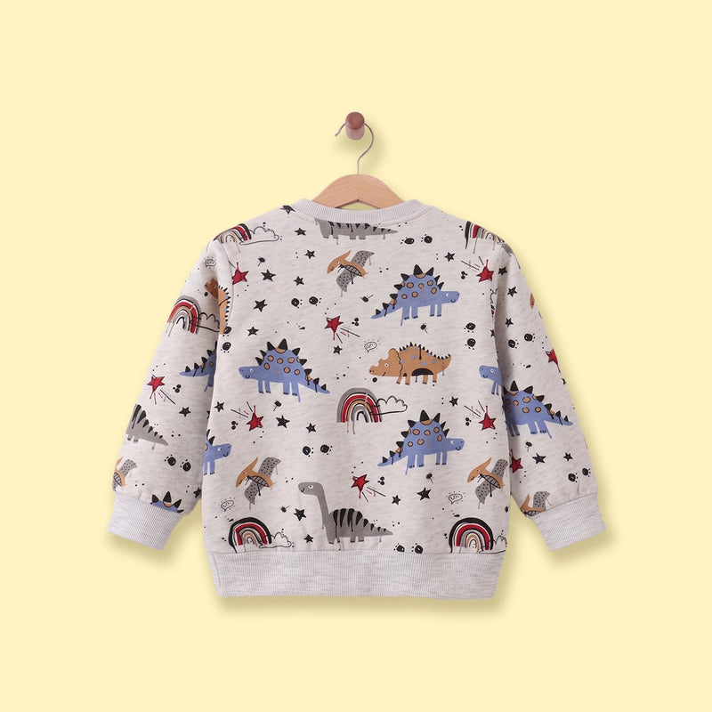 Boys Grey Graphic Round Neck Sweatshirt Sweatshirts & Hoodies