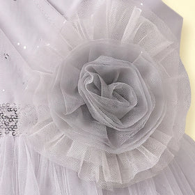 Girls Light Grey Floral Applique Sleeveless Fit & Flare Dress Party Dresses