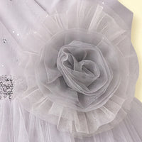 Girls Light Grey Floral Applique Sleeveless Fit & Flare Dress Party Dresses