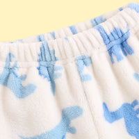 Boys Blue Dinosaur Printed Sweatshirt With Pants Sets 2 pc. Sets