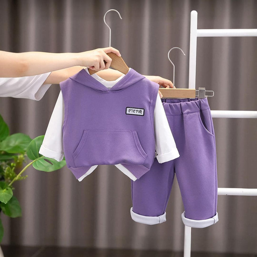 Boys Purple Long Sleeves Hooded Sweatshirt & Trouser Set Sets Purple 1-2 Y 