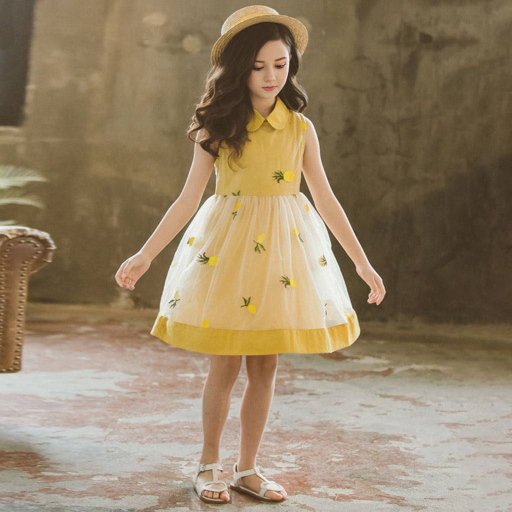 Girls Pineapple Embroidery Peter Pan Collar Fit & Flare Dress