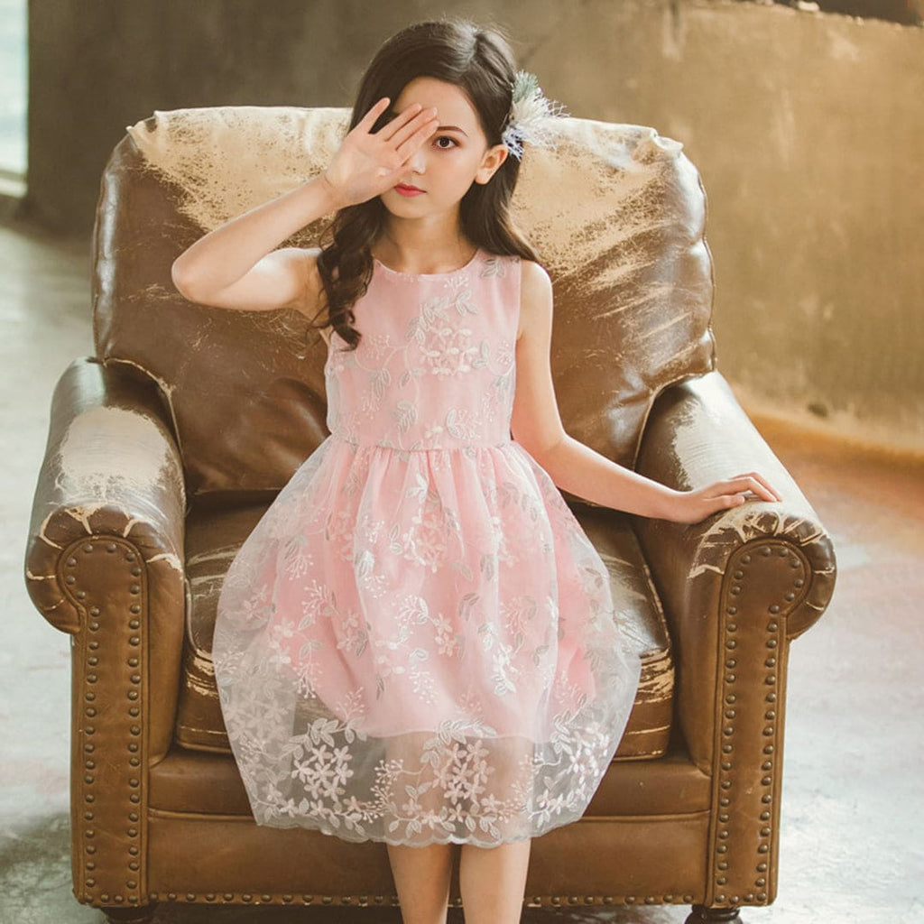 Girls Pink Embroidered Party Wear Fit & Flare Dress