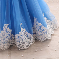 Girls Puffy Sleeveless Mesh Embroidered Partywear Dress Party Dresses   