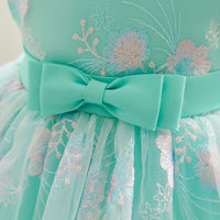 Girls Light Green Mesh Fluffy Princess Partywear Dress Party Dresses   